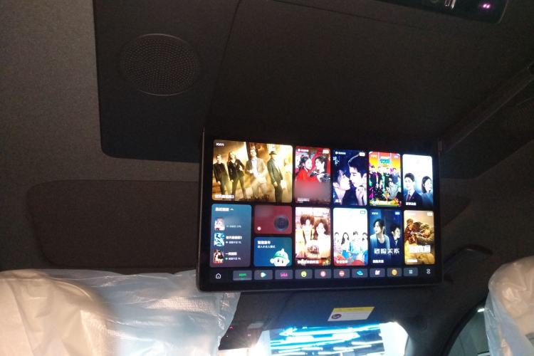 Used Li Auto L9 2024 Pro Model
