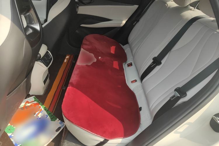 Used BYD Seal 06 New Energy 2024 DM-i 80KM Luxury Model Left Rear Seat