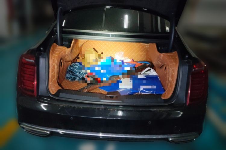 Used Hongqi H9 2020 2.0T Smart Connect Flagship Edition
