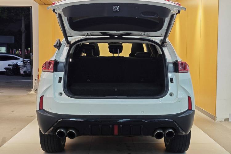 Used Wey P8 2018 2.0T Flagship Model