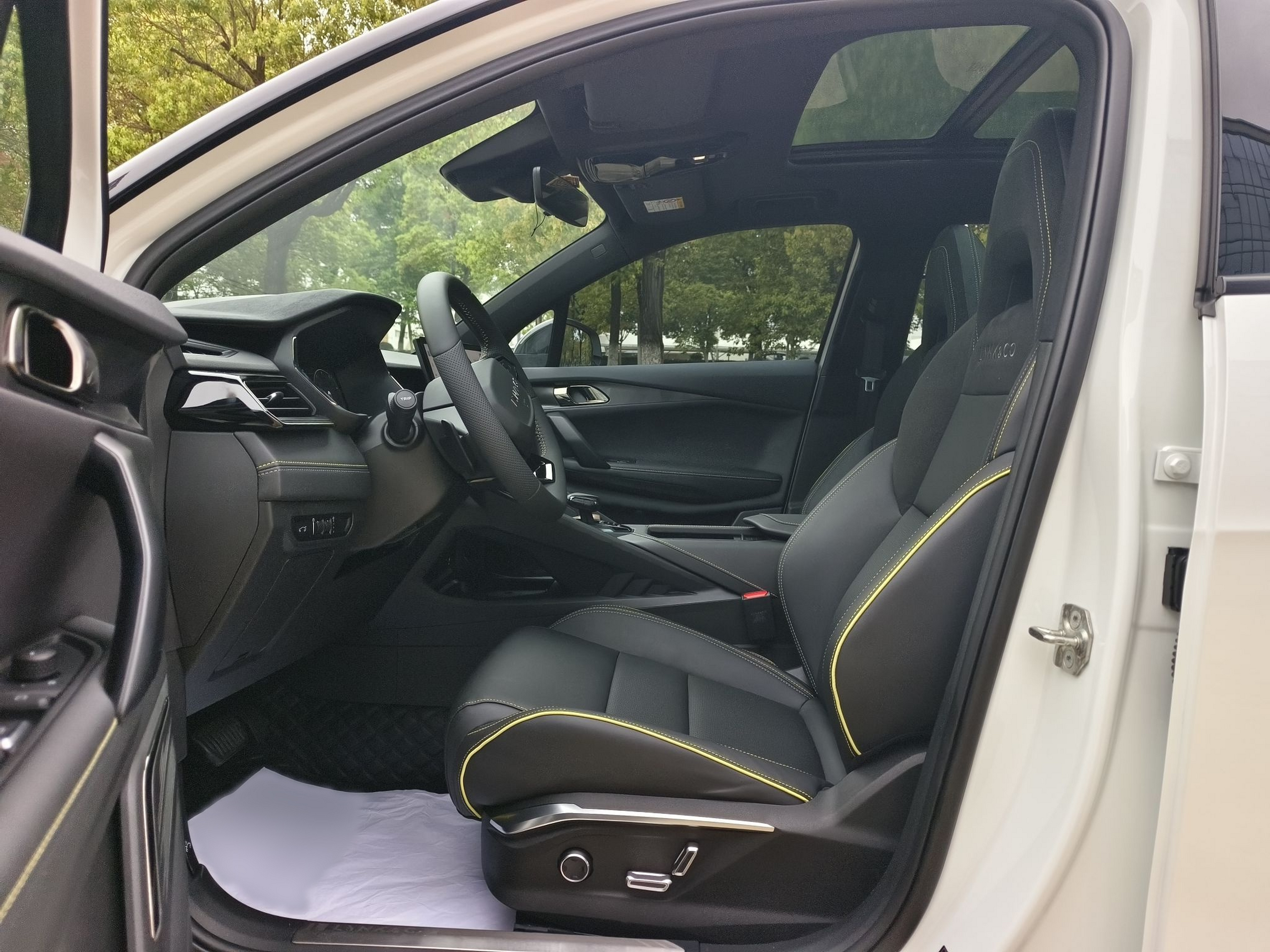 Interior delantero