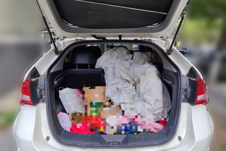 Used Luxgen U5 EV 2018 360 Elite Edition
