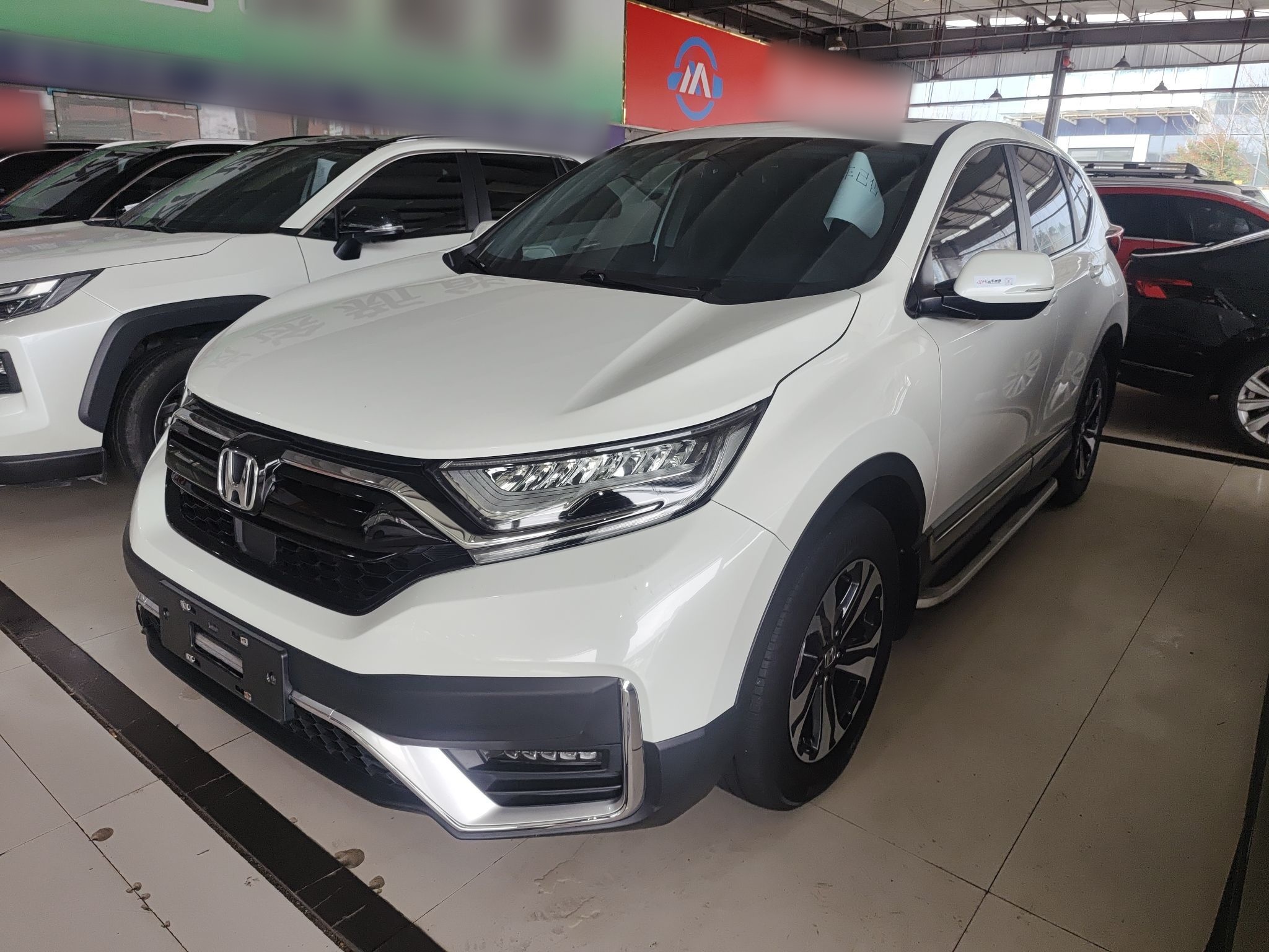 Parte inferior delantera