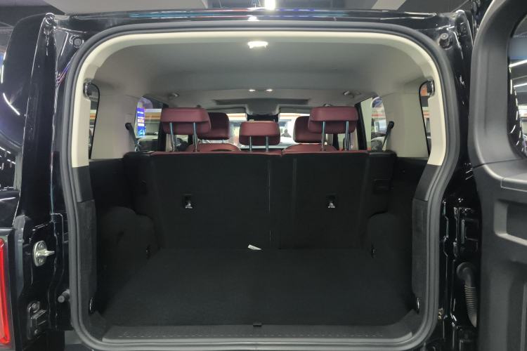 Used Tank 300 2024 2.0T Crosser
