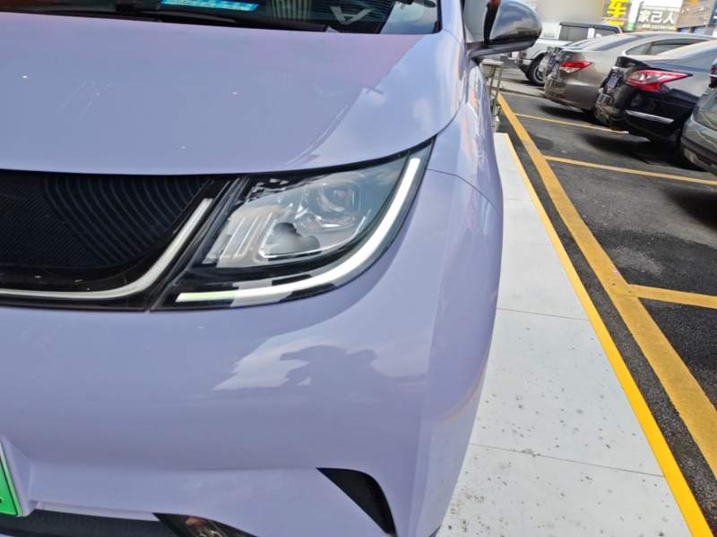 Used BYD Dolphin 2023 420 km Free Version — 23