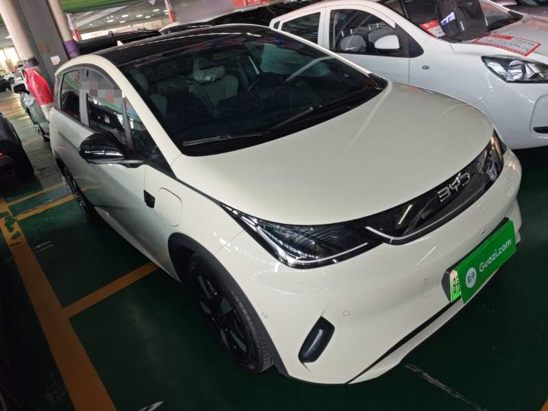 Used BYD Dolphin 2025 Intelligent Driving Version 410 km Fashion Edition — 3