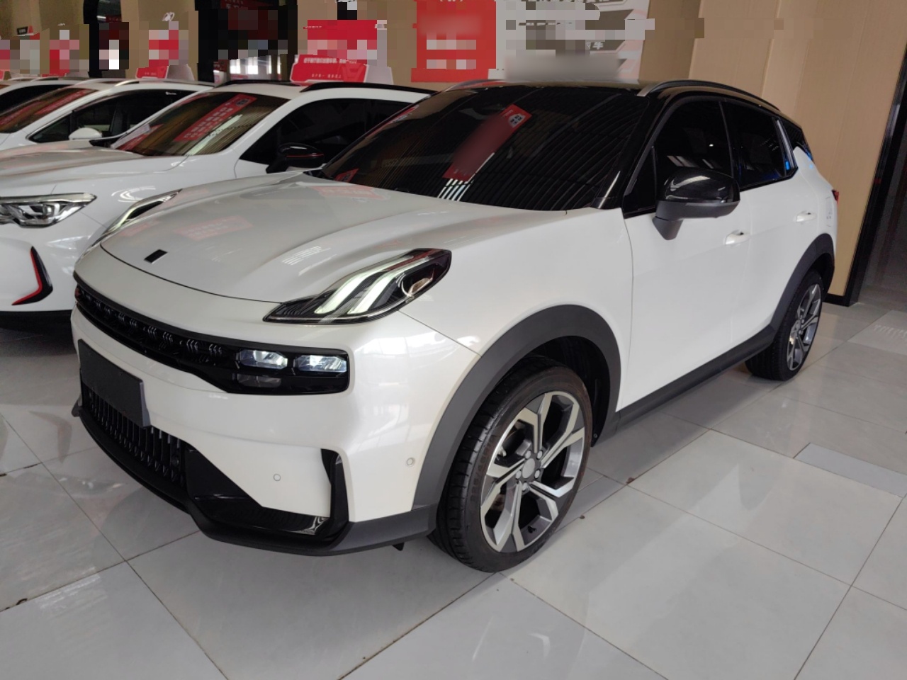 Parte inferior delantera