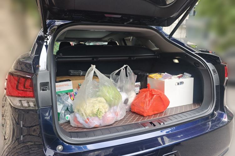 Used Lexus RX 2020 Facelifted 300 4x4 Elegant Edition Trunk