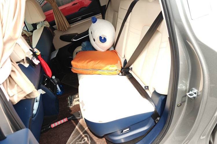 Used Great Wall Shanhai Poer 2023 3.0T V6 Gasoline Extreme Edition Left Rear Seat