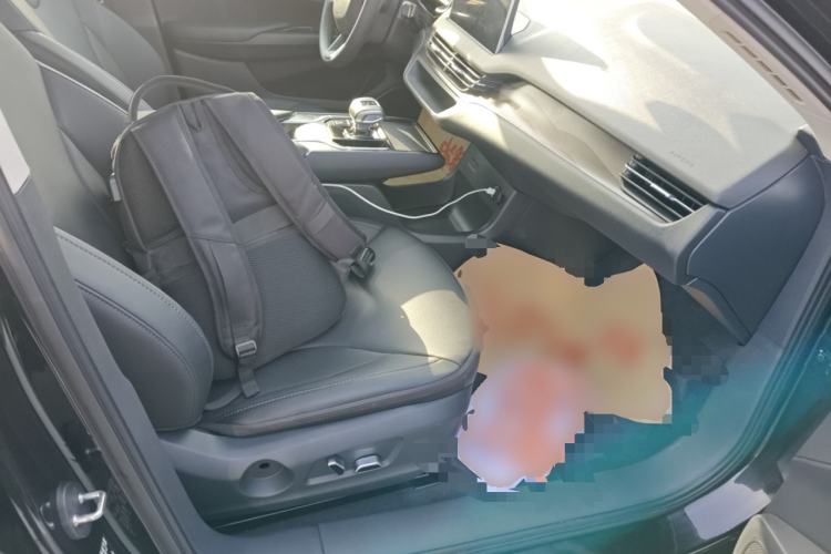 Used Hongqi E-QM5 2021 Charging Version Flagship Edition Right Front Seat