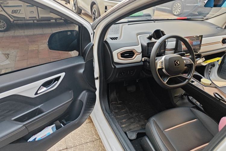 Used SOL E10X 2022 Flower Fairy Design Four-Leaf Clover