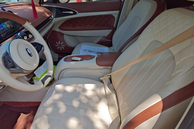 Used ORA Good Cat 2023 401 km Standard Range Premium Trim Ternary Lithium Left Front Seat