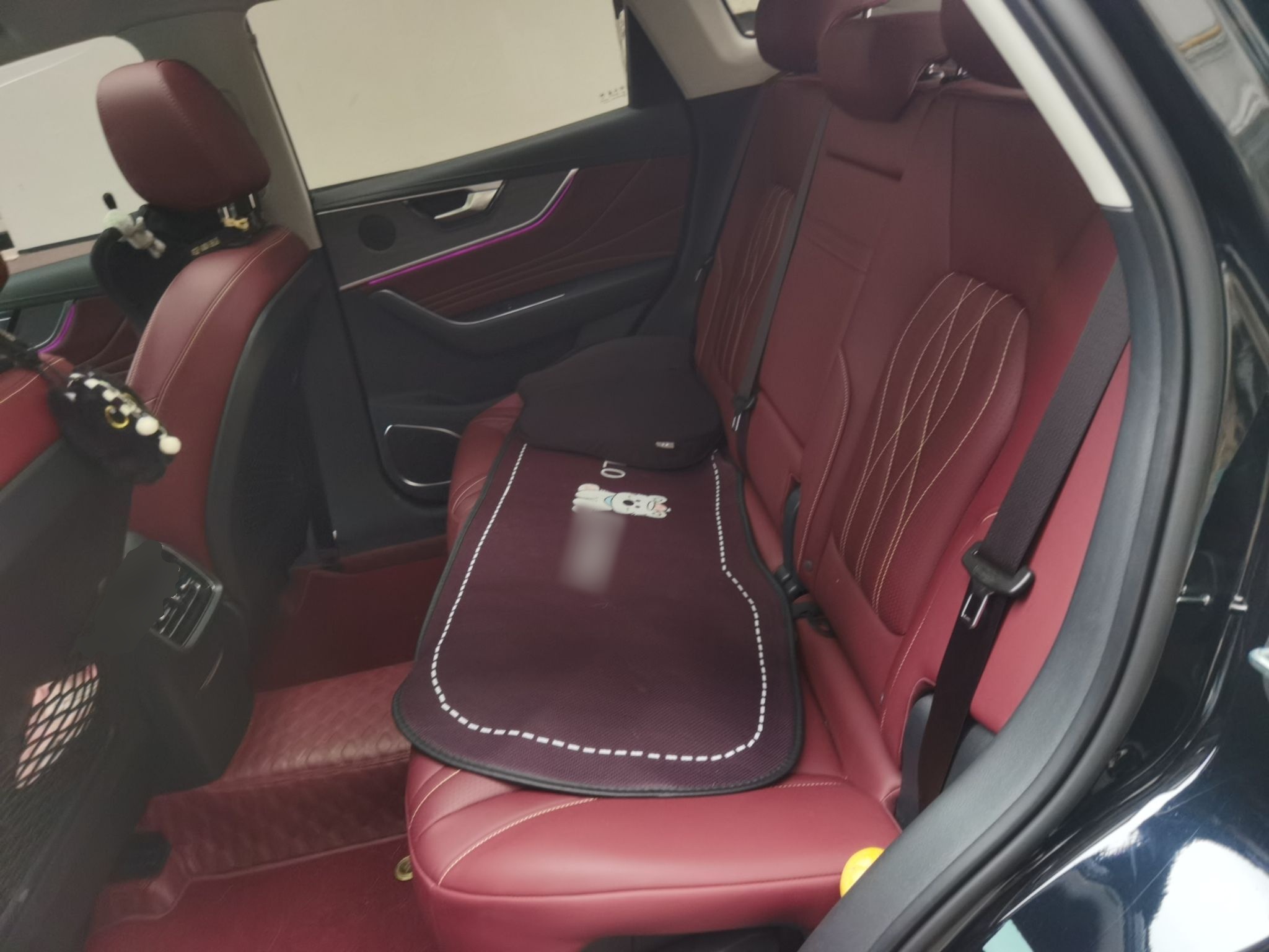 Hongqi HS5 2025 2.0T Two-Wheel Drive Flagship Pro Edition - Chinese Trim Xiang — снимка 17