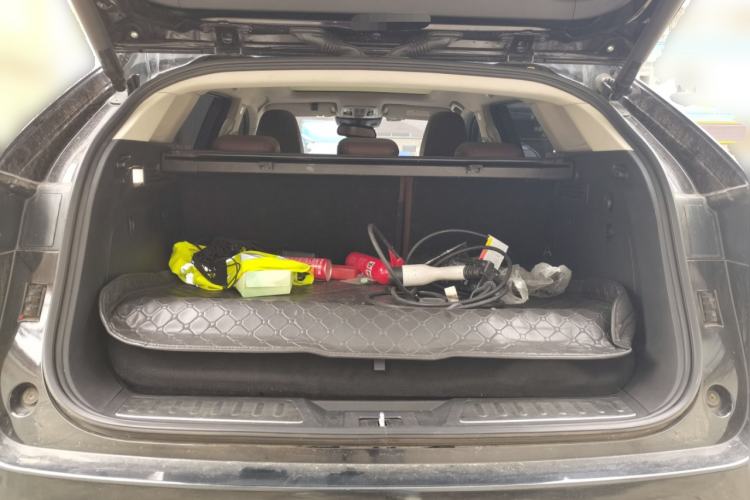 Used Wey P8 2018 2.0T Flagship Model