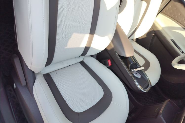 Used JAC Yiwei 3 2023 405km Lite