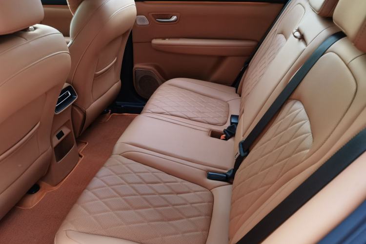 Used Landian E5 PLUS 2026 Model 165km Long-Range First-Adoption Version Ultra 5-seater
