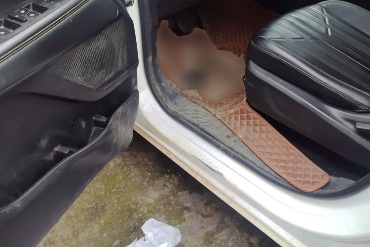 Used Great Wall King Kong Poer 2023 2.0T Automatic Diesel 4x4 Elite Edition Flatbed GW4D20M
