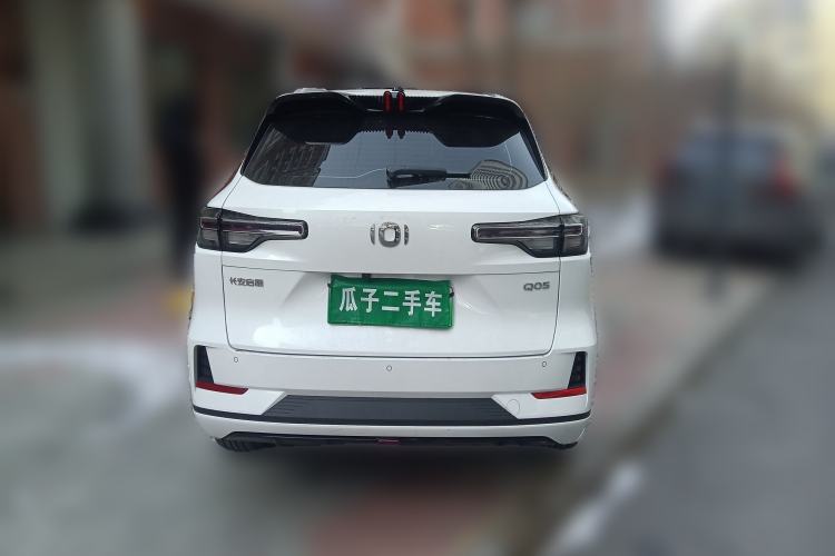 Used Qiyuan Q05 2024 Truly Delicious Version 125" Beyond-Performance Model CATL
