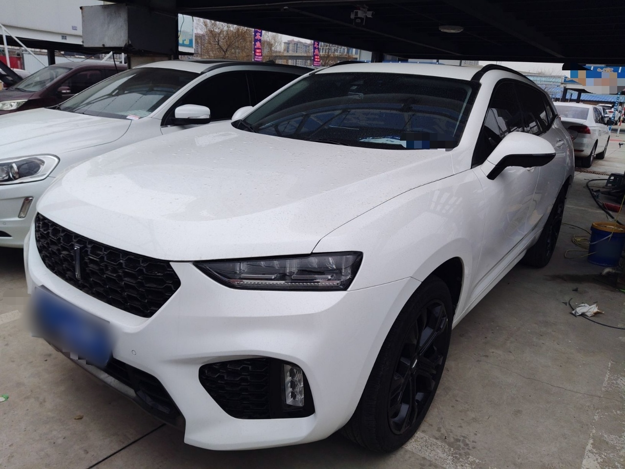 تحت مقدمة السيارة