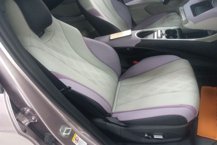 Used BYD Dolphin 2023 420 km Fashion Edition Right Front Seat