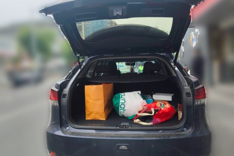 Used Lexus RX 2020 300 Two-Wheel Drive Elite Edition China VI Standard
