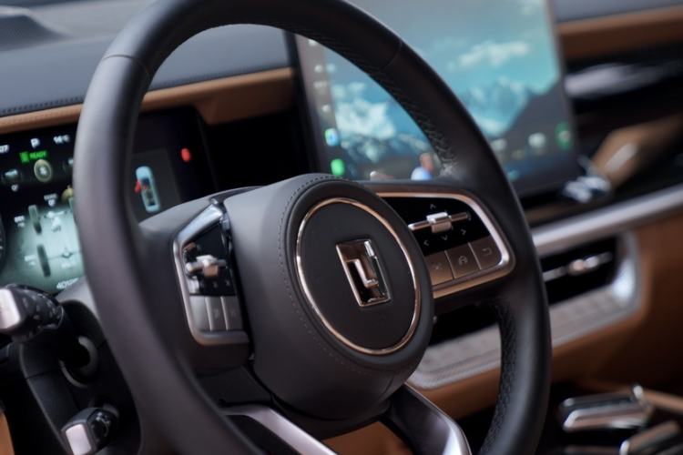 Used Tank 500 New Energy 2023 Hi4-T
