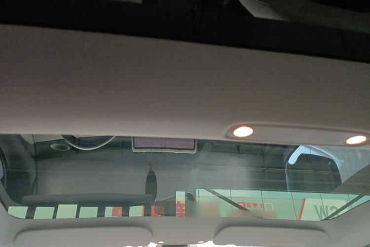 Used Tesla Model 3 2021 Revised Version II – Performance High-Performance All-Wheel-Drive Edition Headliner