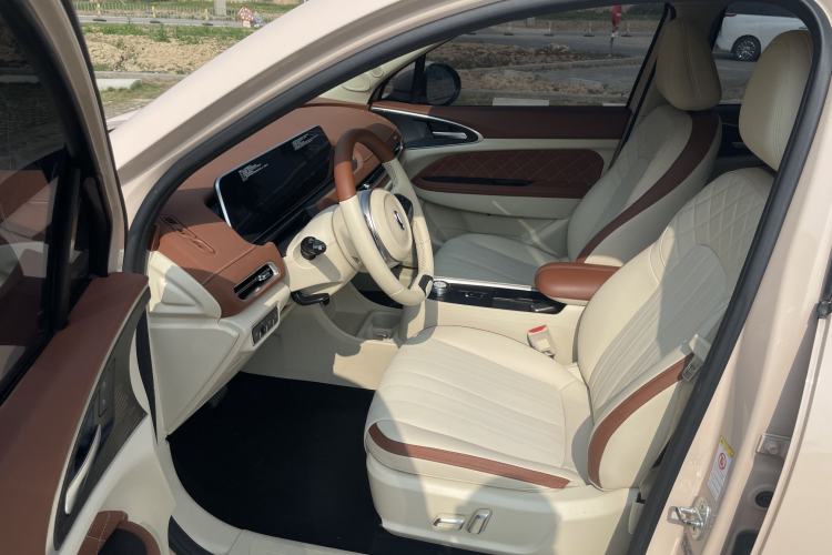 Used ORA Good Cat 2021 400km Standard Range Athena Edition Lithium-Ion Battery
