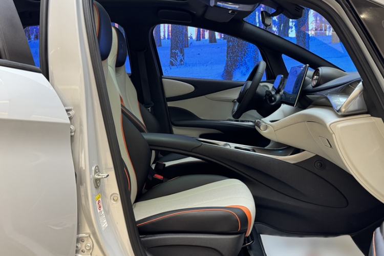 Used BYD Dolphin 2021 405 km Fashion Edition Right Front Seat