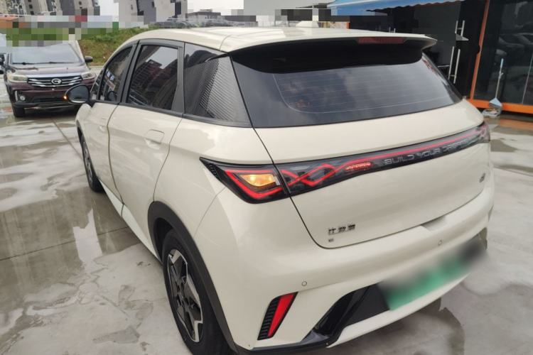 Used BYD Dolphin 2021 405 km Fashion Edition Rear Left 45 Deg