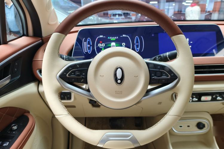 Used ORA Good Cat 2023 401 km Standard Range Luxury Version Lithium Iron Phosphate
