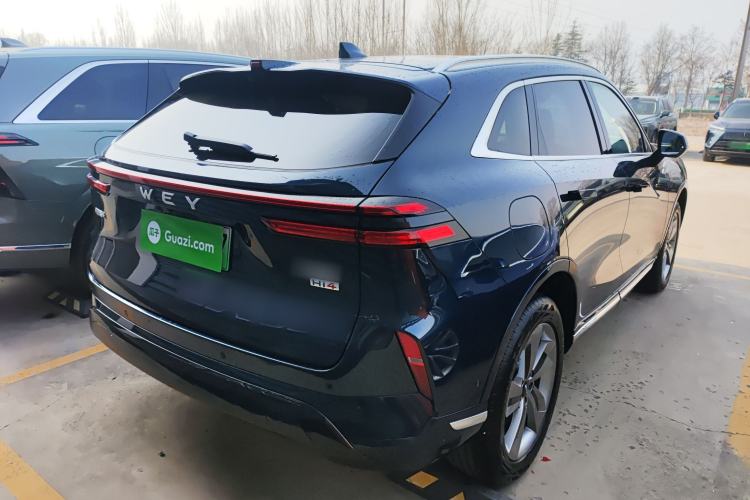 Used Wey Mocha New Energy 2024 Hi4 Four-Wheel Drive Long-Range Version