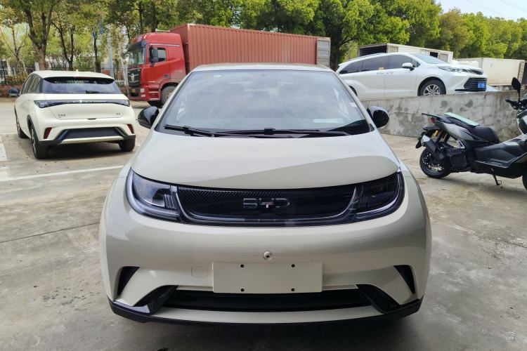 Used BYD Dolphin 2025 420km Free Edition
