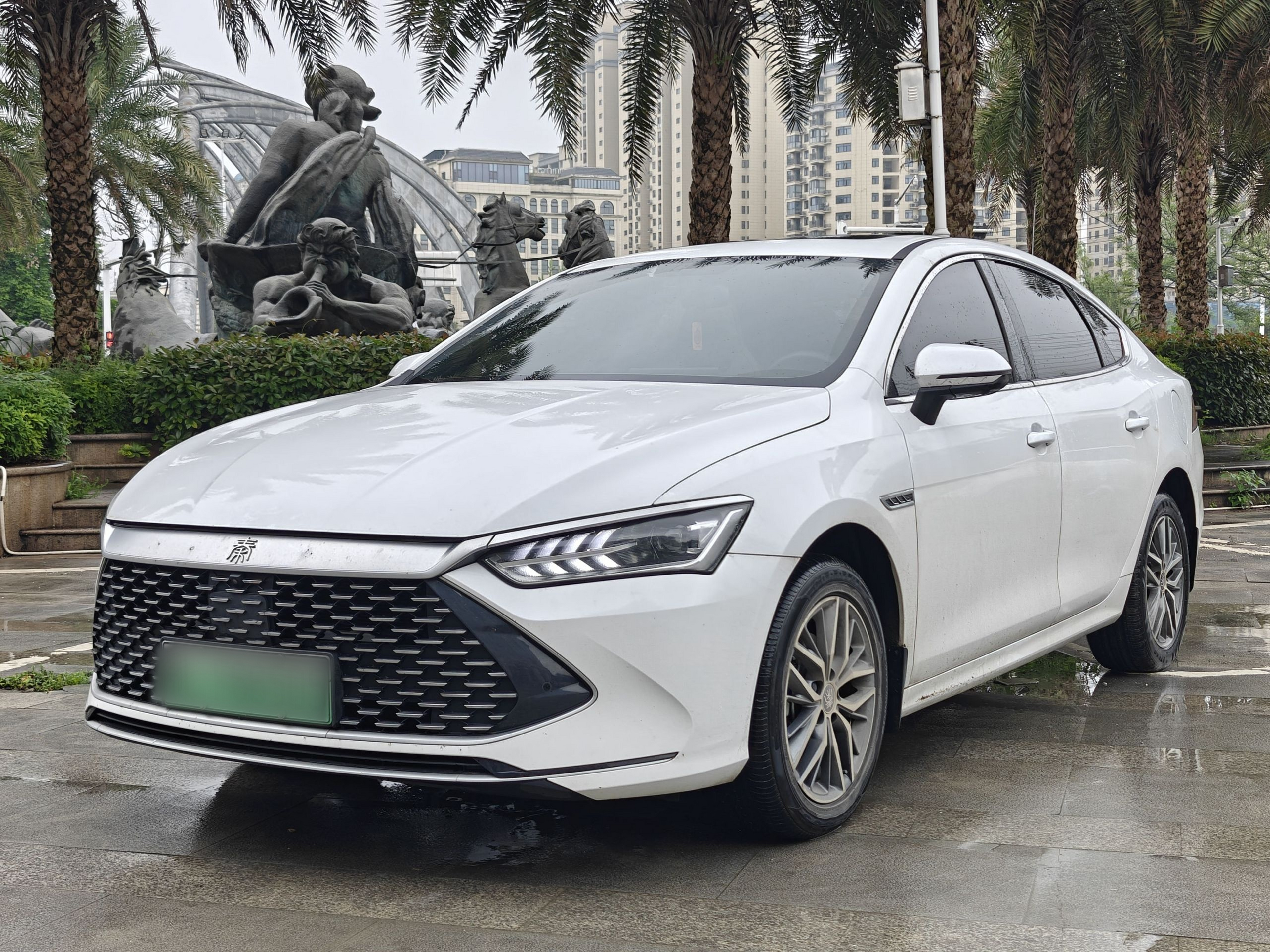 Parte inferior delantera