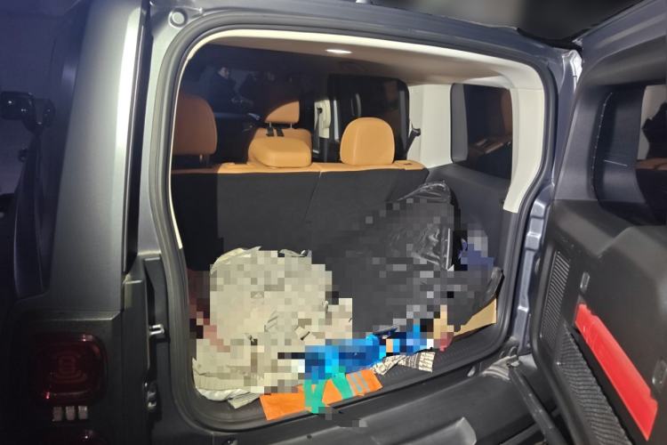 Used Haval Raptor New Energy 2024 Hi4 102 Pro