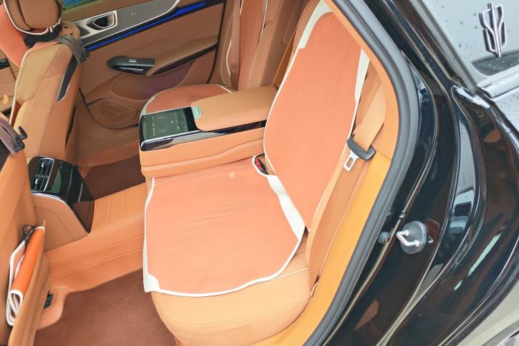 Used Hongqi H9 2024 2.0T Qixiang Private Style Edition