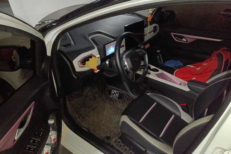 Used SOL E10X 2022 Flower Fairy Style Baby's Breath Driver Seat