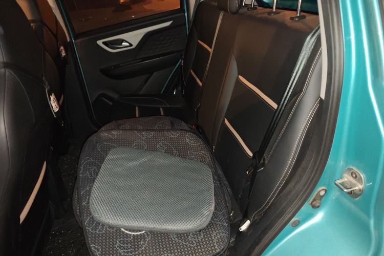 Used SOL E10X 2022 Flower Fairy Design Four-Leaf Clover Left Rear Seat