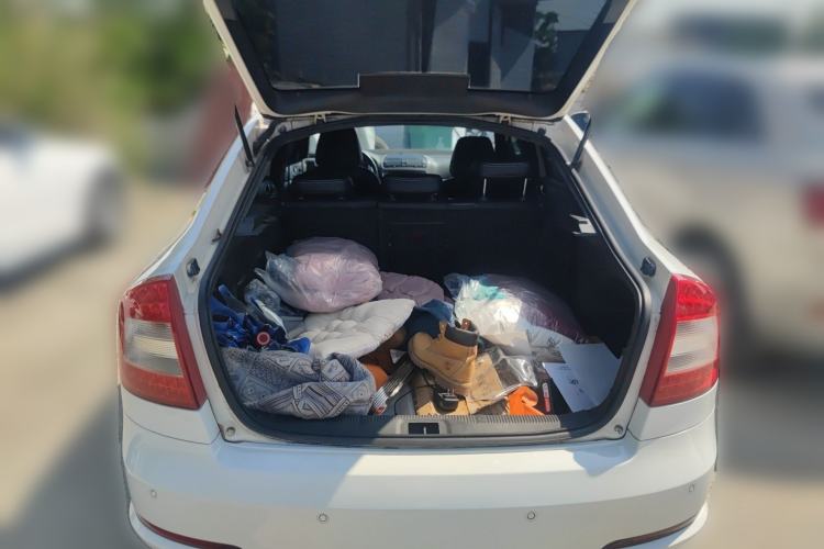 Used Skoda Octavia 2010 2.0 TSI RS
