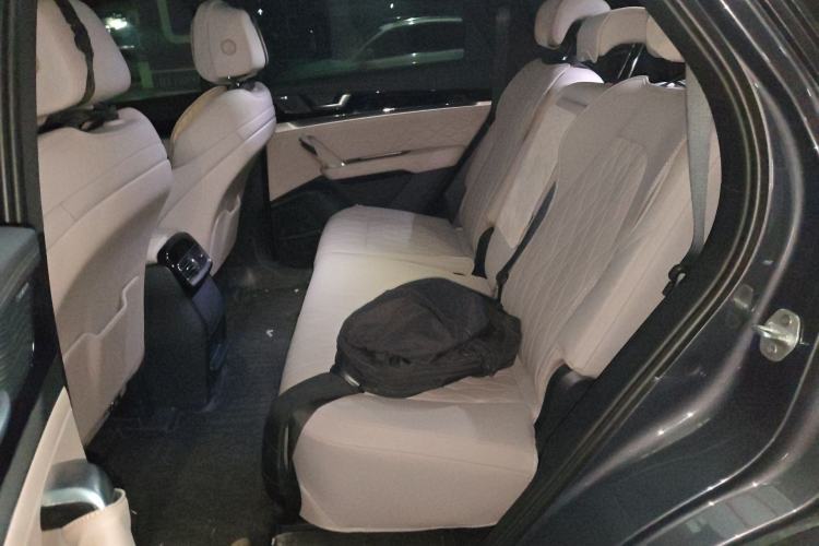 Used BYD Tang New Energy 2024 DM-i Glory Edition 200KM Flagship Model Left Rear Seat