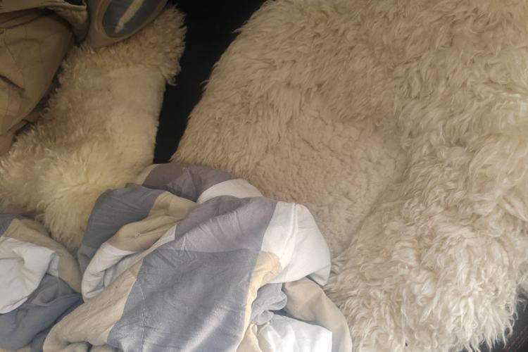 Used BYD S6 2013 Platinum Edition 2.0L Manual Luxury Model
