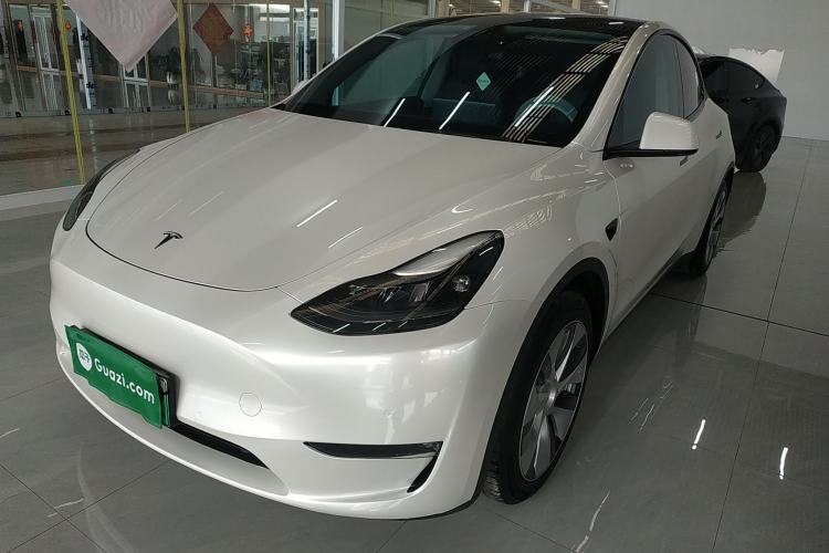 Used Tesla Model Y 2021 Standard Range Rear-Wheel Drive Version
