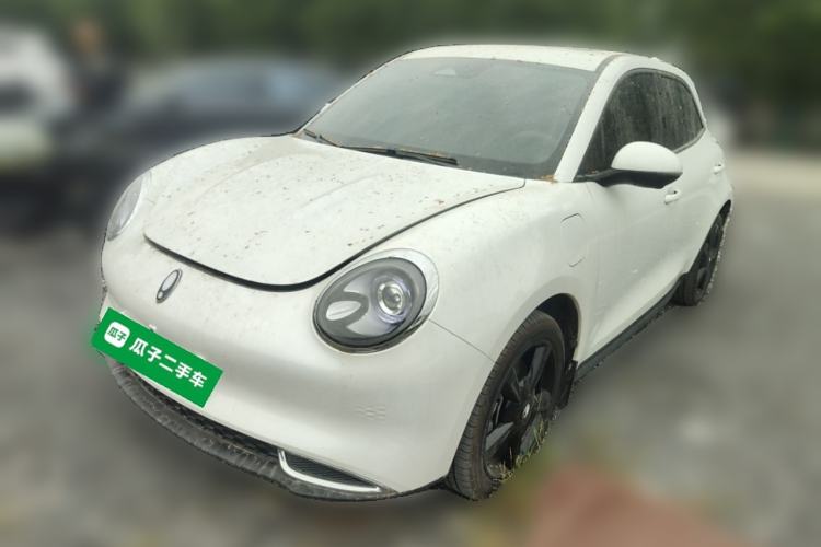 Used ORA Good Cat 2024 401 km Luxury Version