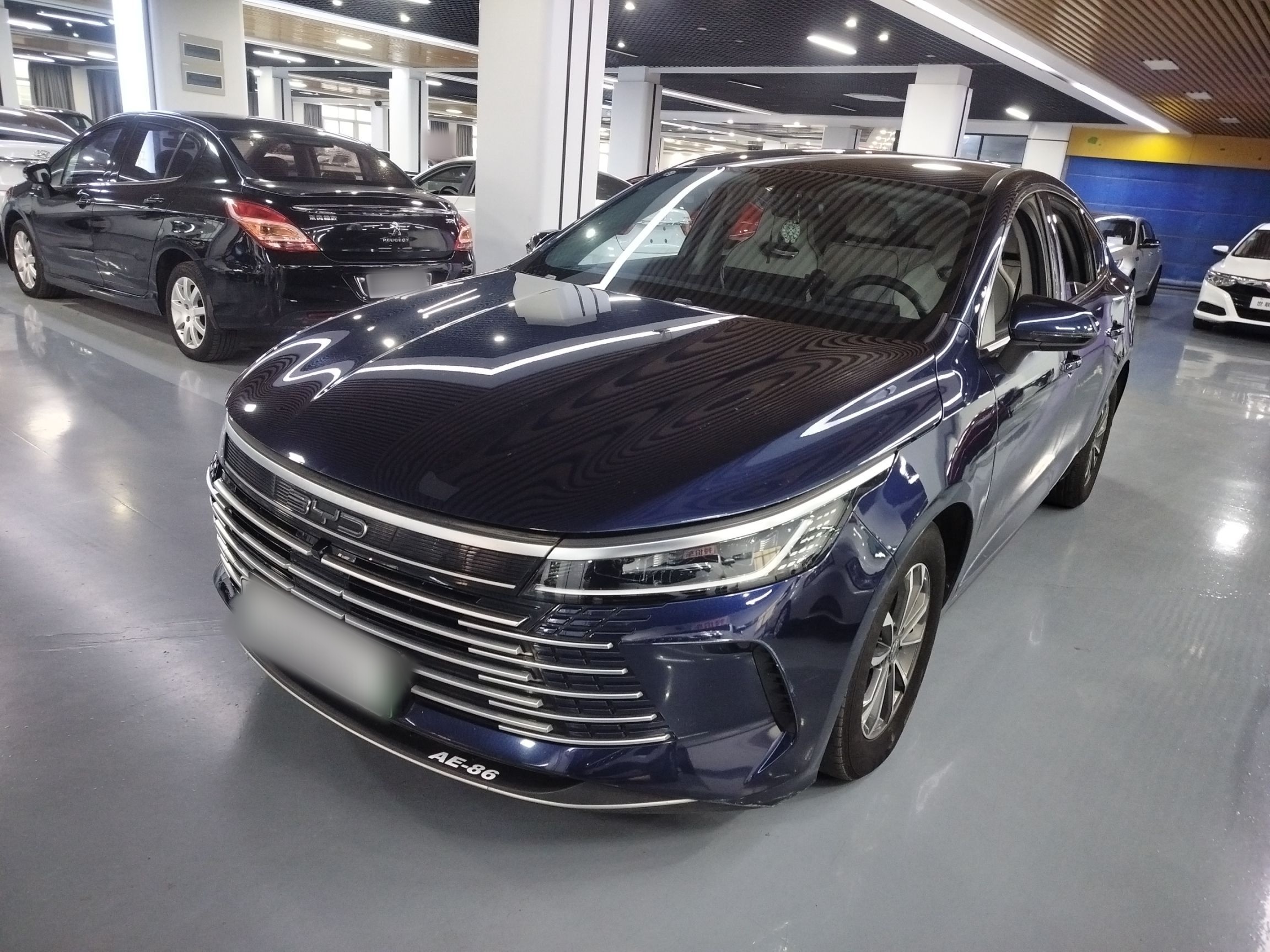 تحت مقدمة السيارة