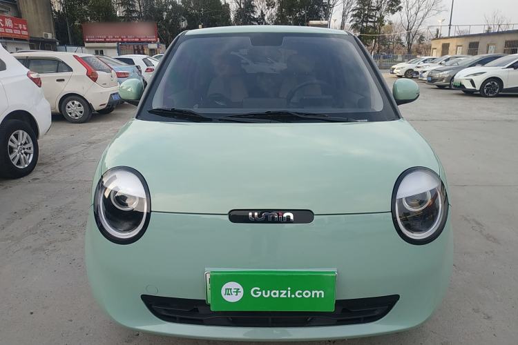 Used Qiyuan Lumin 2023 205km Xiangqin Version

