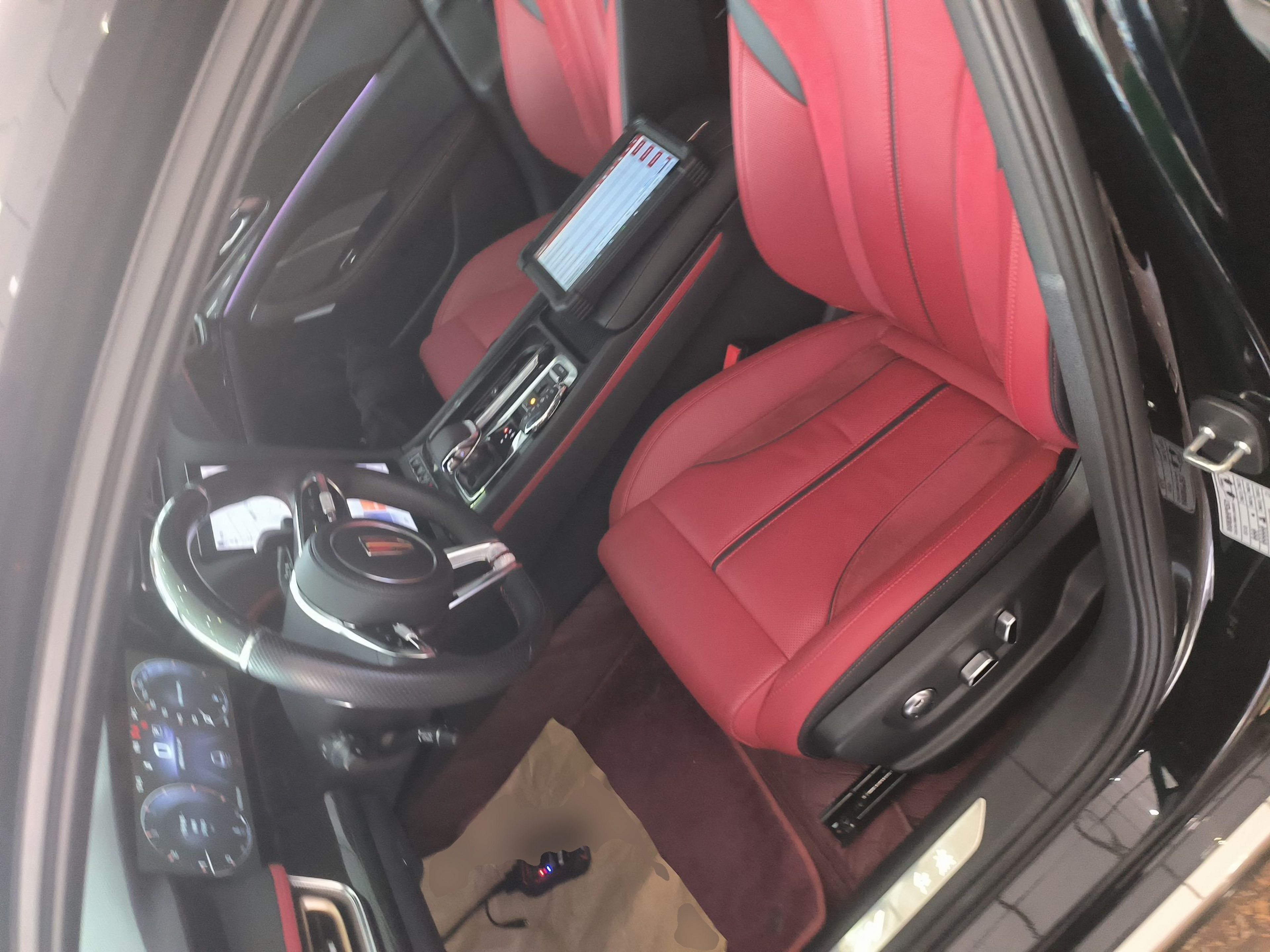 Interior delantero