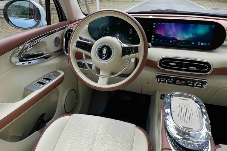 Used ORA Ballet Cat 2023 401 km Luxury Version Interior 3