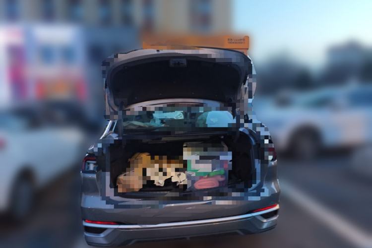 Used Ford Mondeo 2022 Restyled EcoBoost 245 Luxury Version