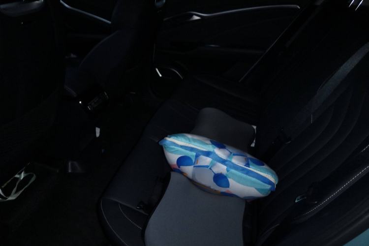 Used NETA U 2022 Zhi400 Pro Ternary Lithium Left Rear Seat