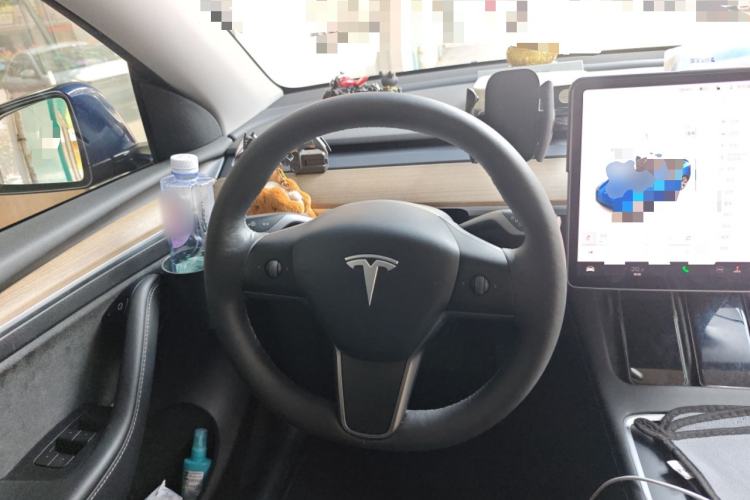 Used Tesla Model Y 2021 Standard Range Rear-Wheel Drive Version
